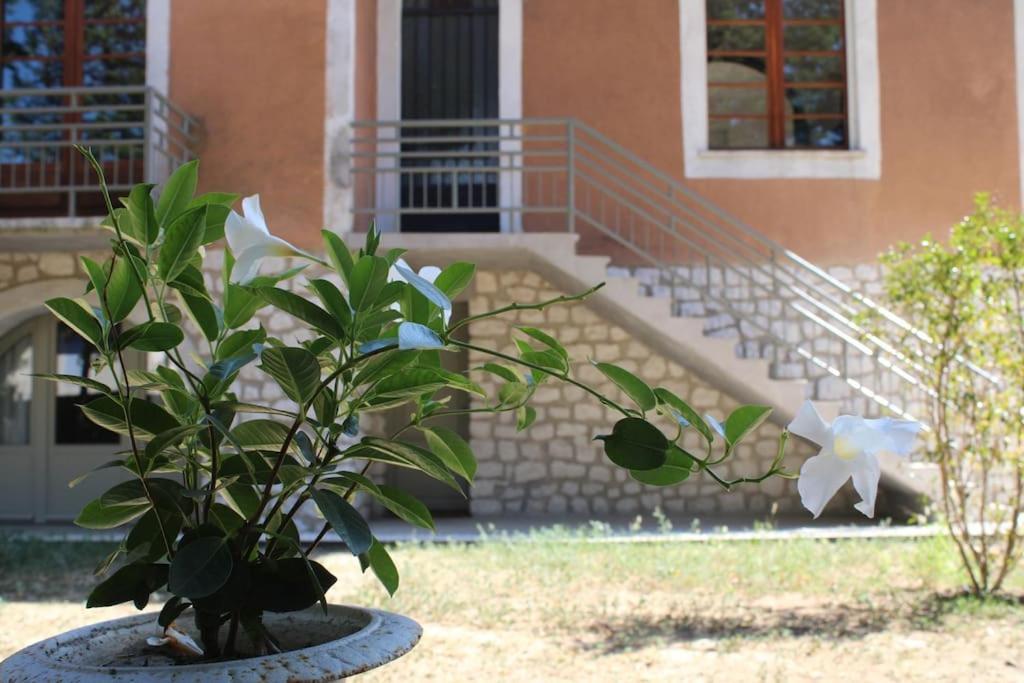 La Provencale Uzès Exterior foto